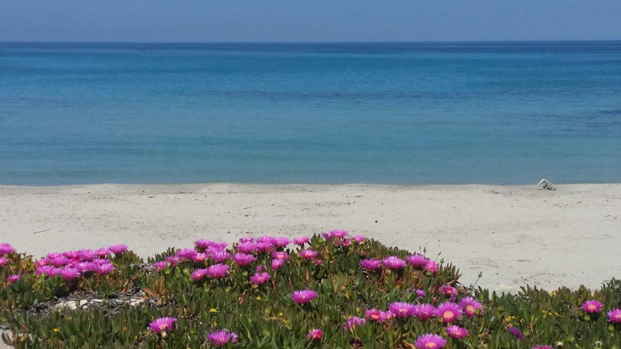 Casa Azzurra Lejlighed San Foca Eksteriør billede